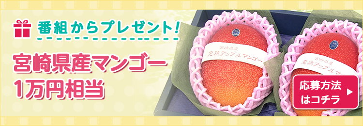 DAIGOも台所プレゼント