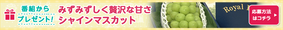 DAIGOも台所プレゼント