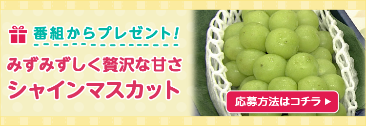 DAIGOも台所プレゼント